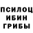 Псилоцибиновые грибы MAGIC MUSHROOMS Oleg Syngaivskyy