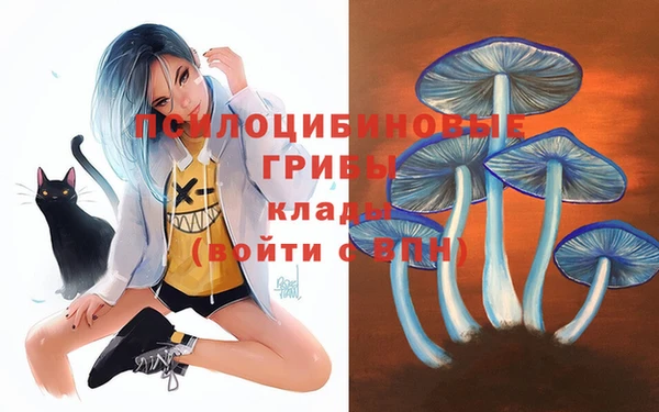 MDMA Premium VHQ Краснослободск